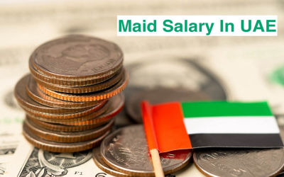 Maid Salaries in UAE: A Complete Guide to Domestic Helper Wages