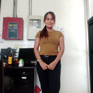 Mayline