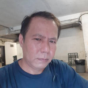 Vengar