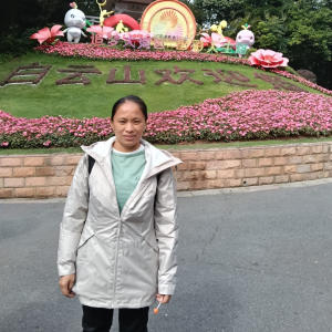 Dianalyn 