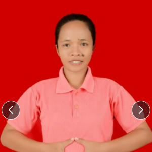 Anggun Rosza