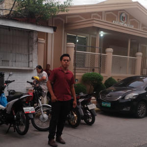 Ariel
