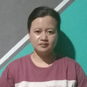 Budi